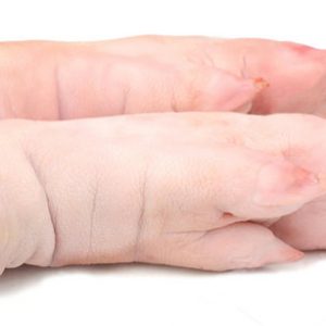 Pork Long Front Feet