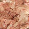 frozen pork brain