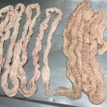 pork small intestine